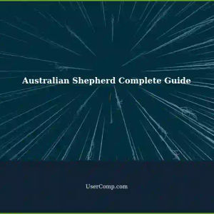 Find Australian Shepherd: Complete 1Handbook - Your Ultimate Guide