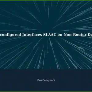Understanding Auto-configured Interfaces SLAAC (accept_ra1) on Non-Router Devices
