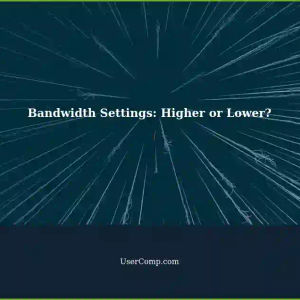 Should I Leave Bandwidth Higher Actually? Setting Internet Connection and Prioritizing Networks