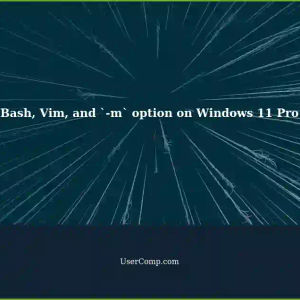 Using `-m` option with bash and Vim on Windows 11 Pro