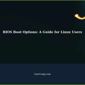 Understanding BIOS Boot Options: A Guide for Linux Users