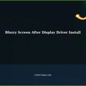 Blurry Screen After Installing Display Drivers in Ubuntu on Windows 11