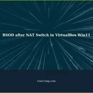 BSOD Issue on Win11 Host After Switching NAT Bridge in VirtualBox