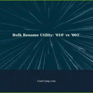 Bulk Rename Utility: Stop Adding '010' Instead of '001'?