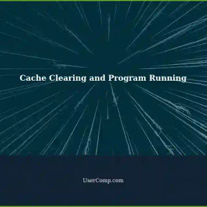 Clearing Cache: Negative Effects on Program Running?