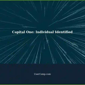Capital One: Individual Identified - Tech Support Article Metadata
