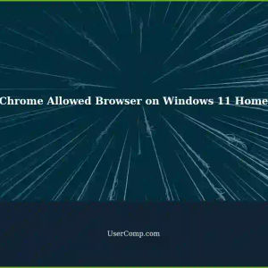 Making Chrome Allowed Browser on Windows 11 Home Edition PC