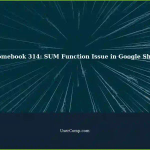 Chromebook: Unable to Use SUM Function in Google Sheets on Acer Chromebook 314