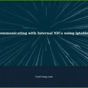 Communicating with Internal NICs using iptables: Route Internet Traffic