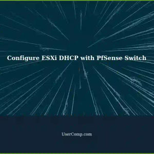 Configure Virtual DHCP Server in ESXi 7.0 using PfSense with a Physical Switch