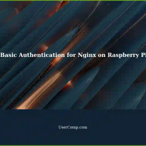 Unable to Configure Basic Authentication for Nginx on Raspberry Pi for Android v.14