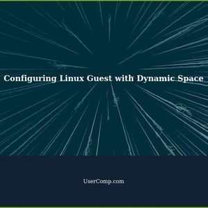 How to Configure Linux Guest with Dynamic Space in VirtualBox