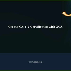Create CA + 2 Certificates with XCA (For Host to Host IPSec)