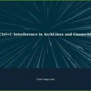 Ctrl+C Character Interference in ArchLinux and Gnome46 Applications