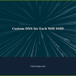 Different Custom DNS for Each Wifi SSID