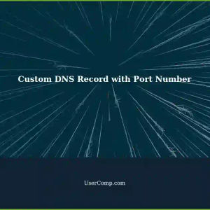 Custom DNS Record Includes Port Number: A Solution for IoT Server Multiples Services