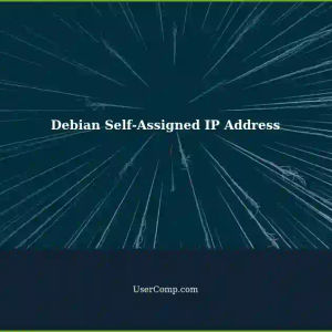 Debian System Assigning Self-Assigned 169.254 IP Address to eth0