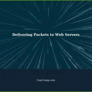 Delivering Packets to Correct Web Servers on Single Machines