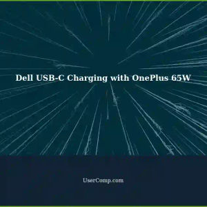 Charging Dell Inspiron Laptop with OnePlus 65W Phone Charger via USB-C
