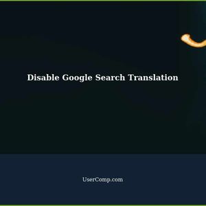How to Disable Automatic Translation in Google Search?
