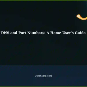 DNS Issues with Accessing URLs Containing Port Numbers: A Solution for Home Users