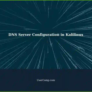 Configuring DNS Servers in Kalilinux: db.system.com and db.testing.com