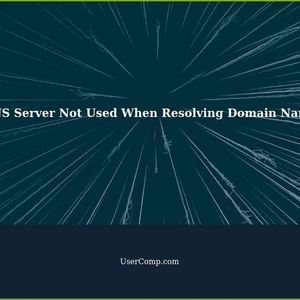 Network Interface's Configured DNS Server is Not Used When Domain Name is Resolved
