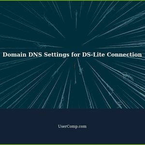 Troubleshooting Domain DNS Settings for DS-Lite Connection