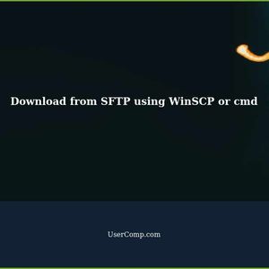 Using WinSCP or Other Programs (cmd) to Download from SFTP
