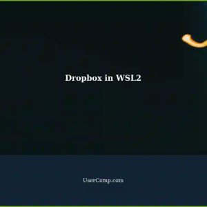Access Dropbox Folder in Ubuntu WSL2 via Linux Command Line