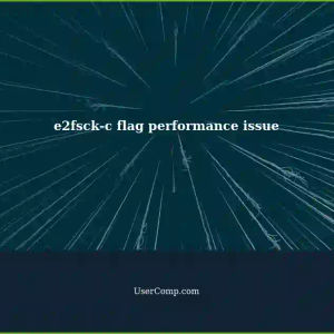 Why is e2fsck-c flag causing slow performance?