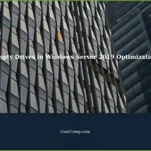 Windows Server 2019: Empty Drives in Scheduled Drive Optimization (defrag/TRIM)