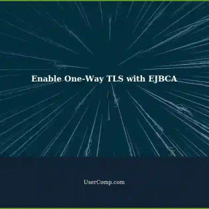 Enable One-Way TLS with EJBCA and OpenSSL CMP using Command Line