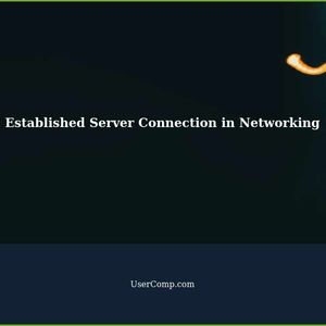 Understanding Established Server Connection in Networking and Web Servers