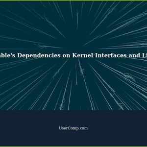 Understanding Executable's Dependencies on Kernel Interfaces and Libraries