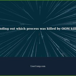 How to find out exactly which process was killed by OOM killer?