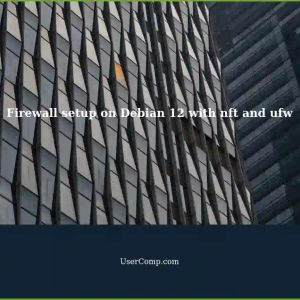 Couldn't Manage firewall setup on Debian 12 using nft, ufw worked intended