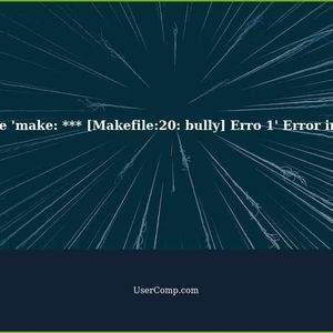 How to Fix the 'make: *** [Makefile:20: bully] Erro 1' Error in Ubuntu