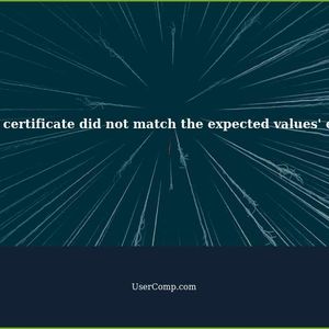 Troubleshooting 'the server certificate did not match the expected values' error in WingetUI