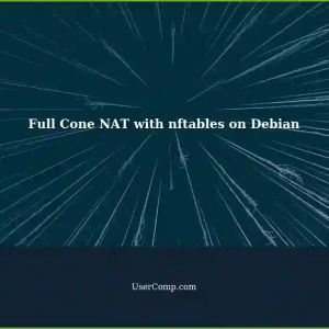Setting Up Full Cone NAT with nftables on Debian for miniupnpd