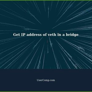 How to get the IP address of veth in a bridge?