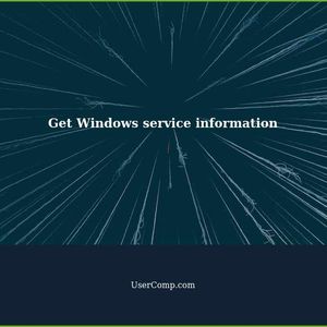 How to get all information concerning a Windows service?