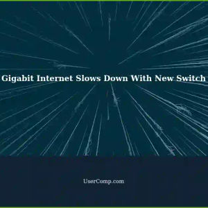 Gigabit Internet Connection Slows Down After Introducing 4-Port Gigabit Switch