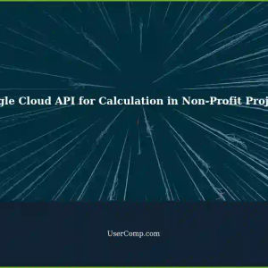 Automating Manual Entry in Your Non-Profit Project with Google Cloud API for Calculation