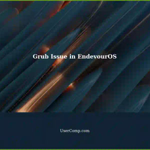 Grub Finds No Bootable Option in EndevourOS (Also Not Available in Mobo Menu)