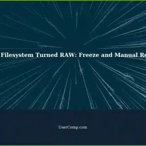 Dual Boot Computer: HDD Filesystem Turned RAW - Freeze/Manual Reboot