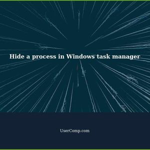 Hide a process in the Windows task manager by using task manager hider