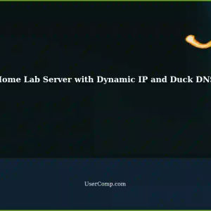 Setting Up a Home Lab Server Accessible Externally with Dynamic IP using Duck DNS