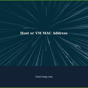 Host or VM MAC Address