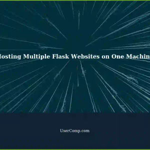 Hosting Multiple Websites on One Machine: IP Address Usage with Flask and Gunicorn